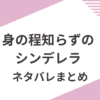 「身の程知らずのシンデレラ」あらすじネタバレと感想